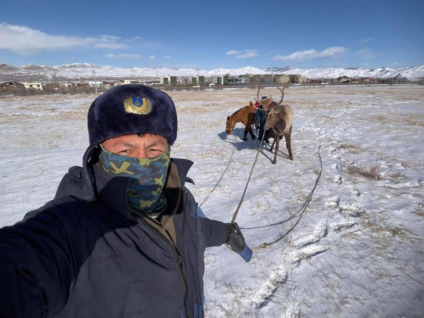 Богдхан ууланд торонд орооцолдсон бугыг аврах ажиллагаа явууллаа